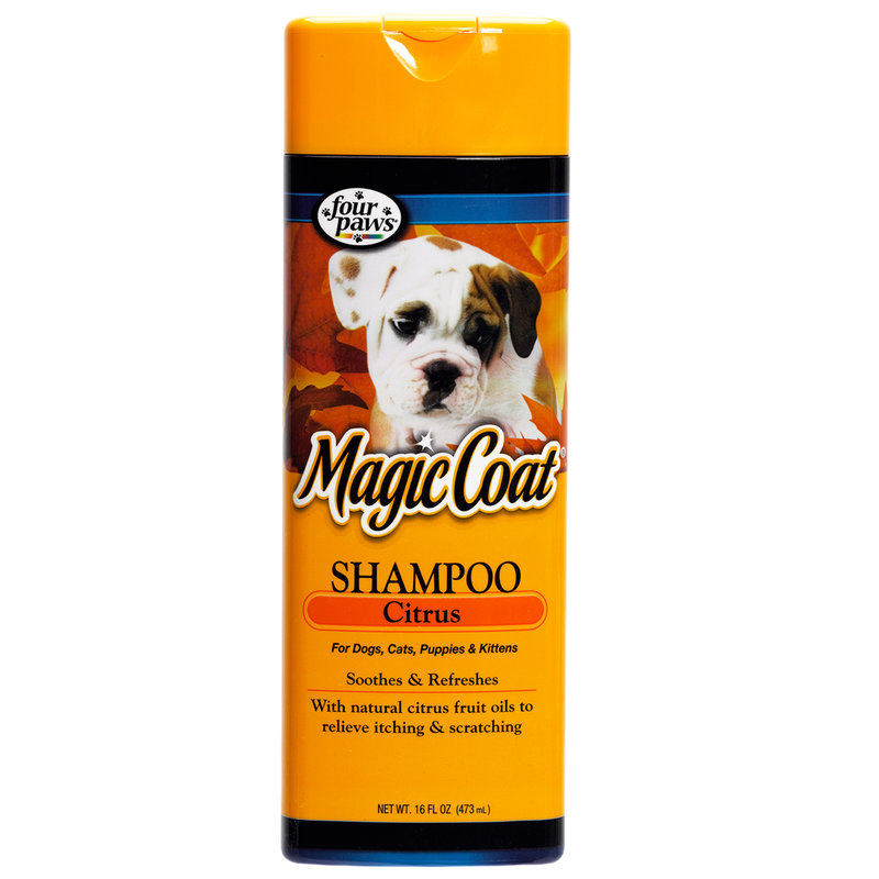 magic coat cat shampoo