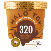 Halo Top Non-Dairy Peanut Butter Cup Pint