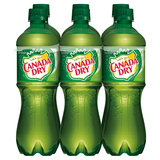 Canada Dry Ginger Ale 6pk 16.9oz Btl