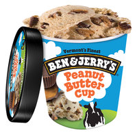Ben & Jerry's Peanut Butter Cup Pint