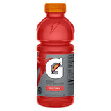 Gatorade Fruit Punch 20oz Btl