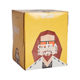 Evil Twin Citra Sunshine Slacker Session Ale 4pk 16oz Can
