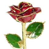 Gold Trimmed Rose