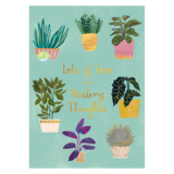 NIQUEA.D "Potted Plants" Get Well Card 5x7 inches