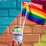 Coolhaus Enjoymint For All Ice Cream Pint