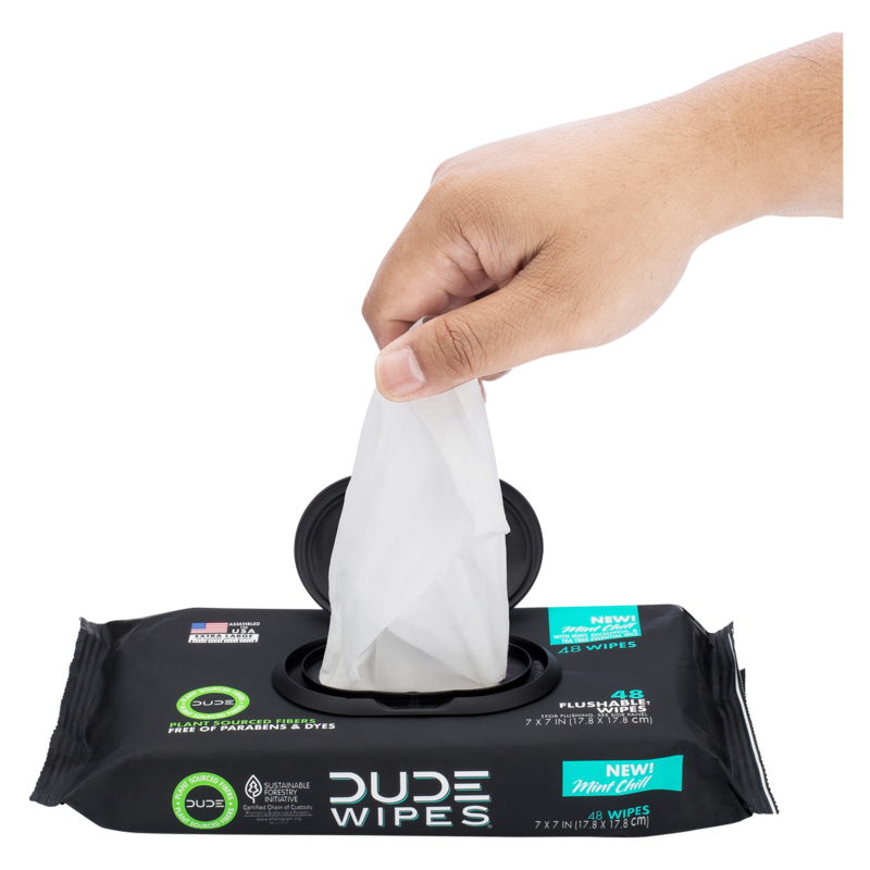 DUDE Wipes XL Flushable Wipes Dispenser Mint Chill with Mint