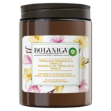 Air Wick Botanica Bougie Parfumée Cire d'Origine Naturelle Magnolia de l'Himalaya et Vanille, 1pcs
