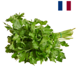 Persil Plat 20g, origine France