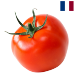 Tomate Grappe x1, origine Hollande