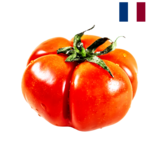 Tomate Côtelée Aumônière x1, Origine France